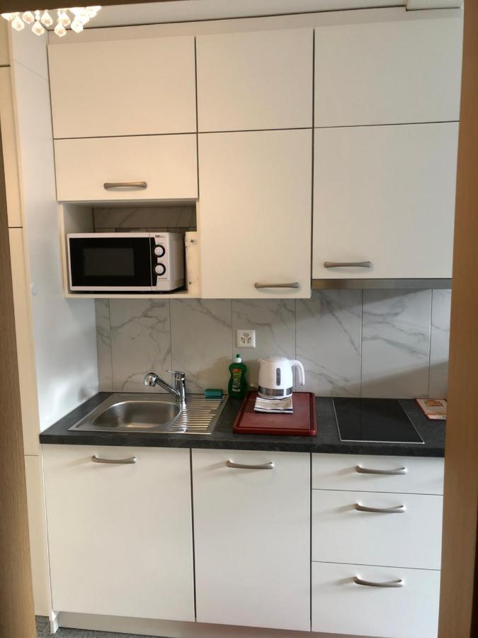Apartment By Mario إنترلاكن المظهر الخارجي الصورة