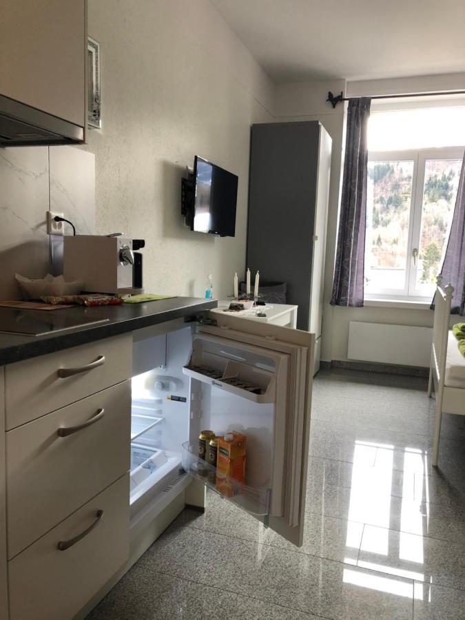 Apartment By Mario إنترلاكن المظهر الخارجي الصورة